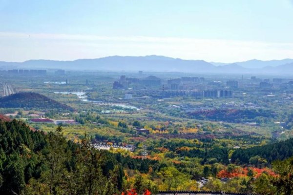 北京市发布2026年第1号总林长令