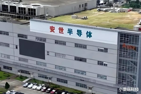 荷兰停止供货晶圆, 中方反手一道逐客令, 不得不自食苦果了