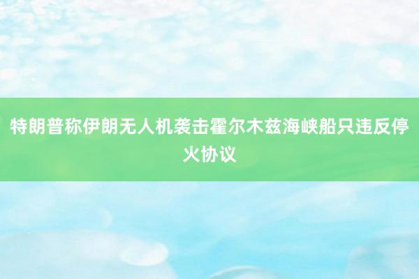 特朗普称伊朗无人机袭击霍尔木兹海峡船只违反停火协议