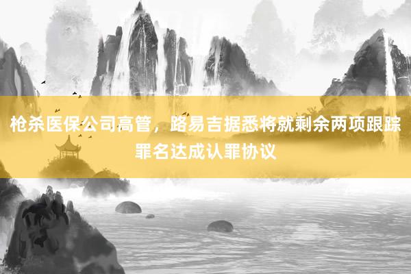 枪杀医保公司高管，路易吉据悉将就剩余两项跟踪罪名达成认罪协议