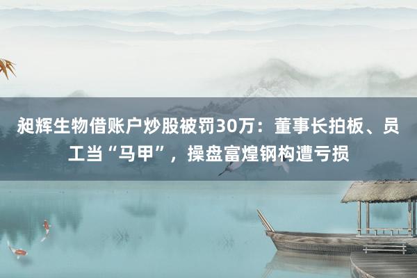 昶辉生物借账户炒股被罚30万:董事长拍板、员工当“马甲”,操盘富煌钢构遭亏损