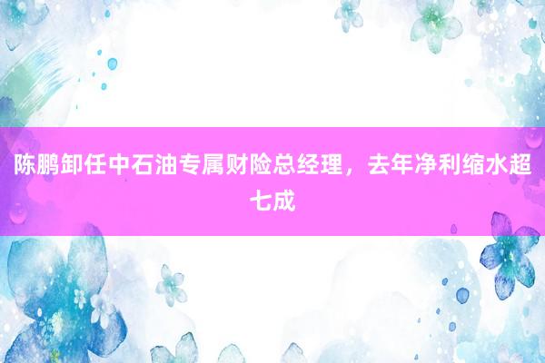 陈鹏卸任中石油专属财险总经理，去年净利缩水超七成
