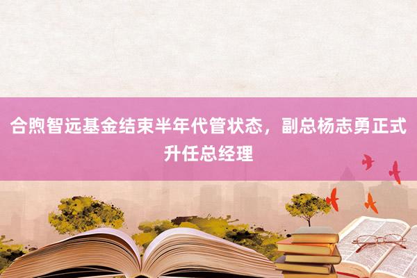 合煦智远基金结束半年代管状态,副总杨志勇正式升任总经理