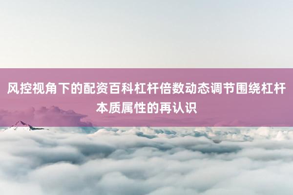 风控视角下的配资百科杠杆倍数动态调节围绕杠杆本质属性的再认识