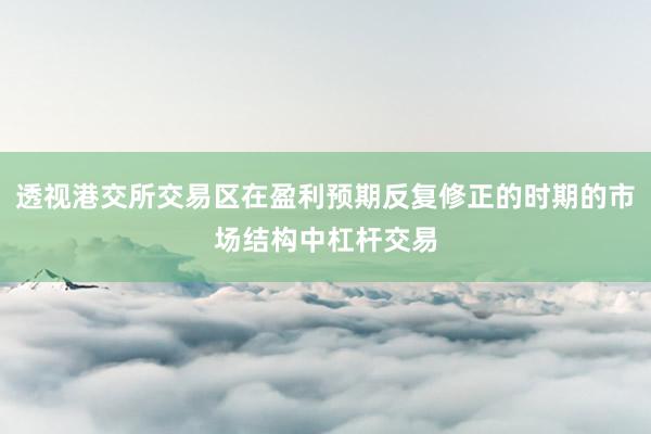 透视港交所交易区在盈利预期反复修正的时期的市场结构中杠杆交易