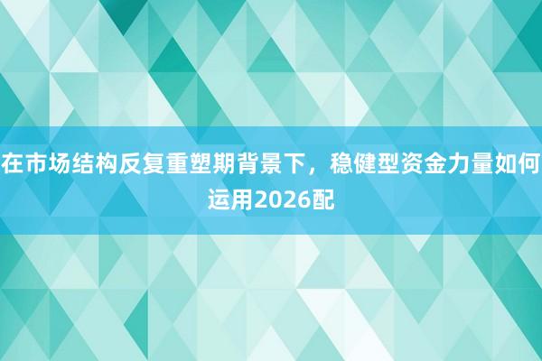 在市场结构反复重塑期背景下,稳健型资金力量如何运用2026配