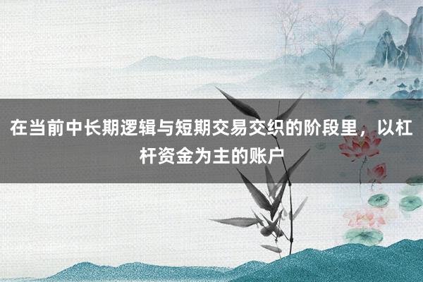 在当前中长期逻辑与短期交易交织的阶段里，以杠杆资金为主的账户