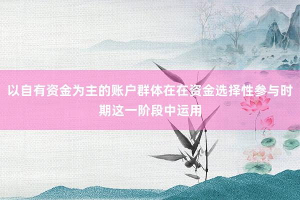 以自有资金为主的账户群体在在资金选择性参与时期这一阶段中运用