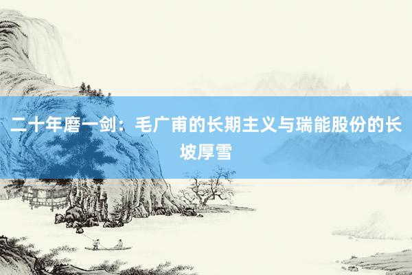 二十年磨一剑：毛广甫的长期主义与瑞能股份的长坡厚雪