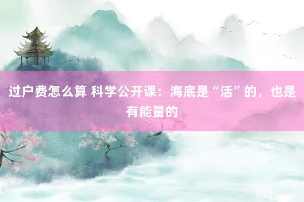 过户费怎么算 科学公开课：海底是“活”的，也是有能量的