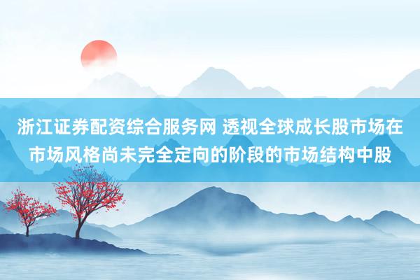 浙江证券配资综合服务网 透视全球成长股市场在市场风格尚未完全定向的阶段的市场结构中股