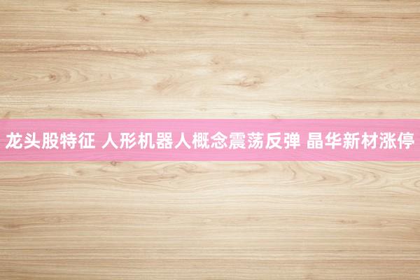 龙头股特征 人形机器人概念震荡反弹 晶华新材涨停