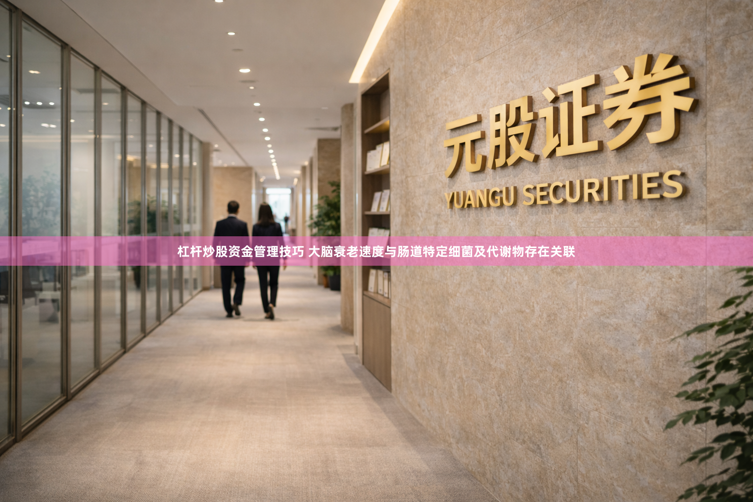 杠杆炒股资金管理技巧 大脑衰老速度与肠道特定细菌及代谢物存在关联