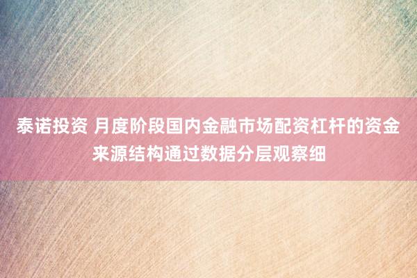 泰诺投资 月度阶段国内金融市场配资杠杆的资金来源结构通过数据分层观察细